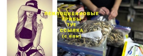 сатива Покровск