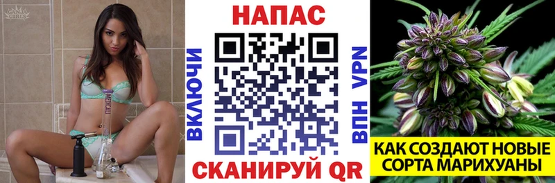 Бошки марихуана гибрид blacksprut зеркало Новохопёрск купить сайты